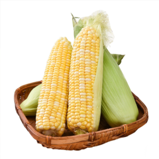 测试供应商商品301