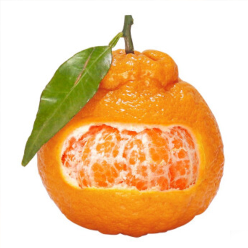 测试供应商商品305