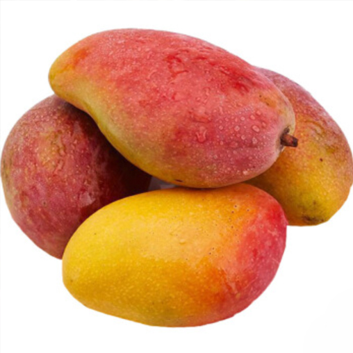 测试供应商商品306